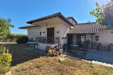 Вилла с 5 спальнями в Термаикос, Греция №107406 23