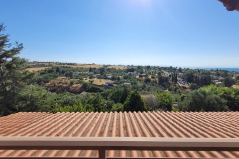 Вилла с 5 спальнями в Термаикос, Греция №107406 13