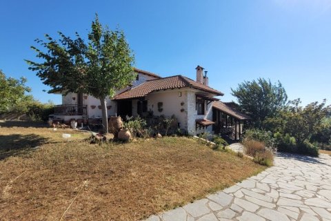 Вилла с 5 спальнями в Термаикос, Греция №107406 28