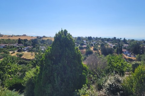 Вилла с 5 спальнями в Термаикос, Греция №107406 15