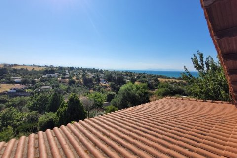 Вилла с 5 спальнями в Термаикос, Греция №107406 11