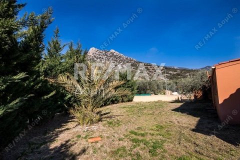 Дом с 3 спальнями в Магнисия, Греция №104643 13