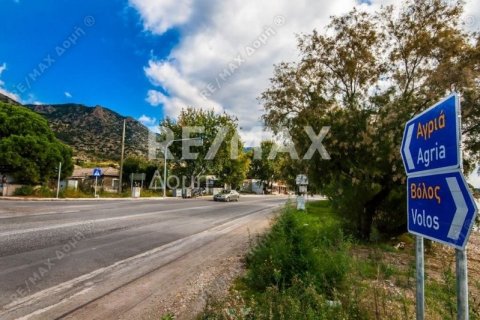 Дом с 3 спальнями в Магнисия, Греция №104643 11