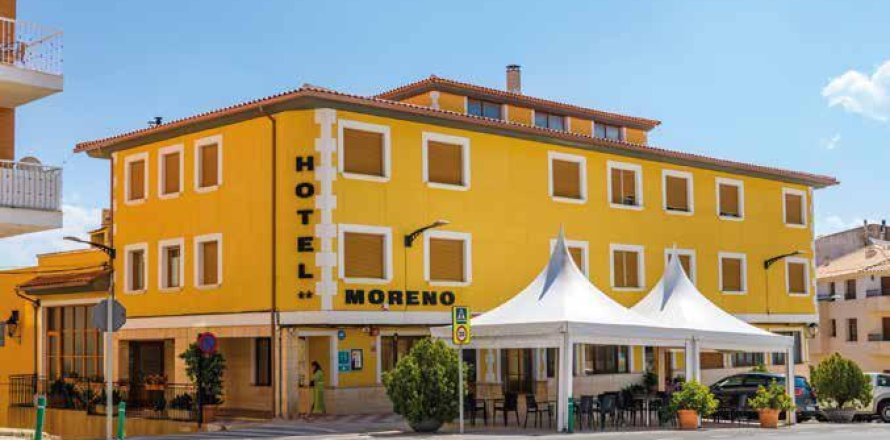 17 bedrooms Commercial property in Alicante, Spain No. 99139