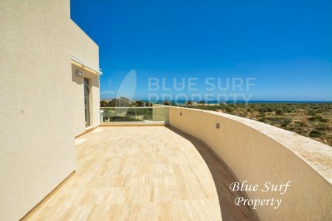 7 bedrooms Villa in Ayia Napa, Cyprus No. 36574 26