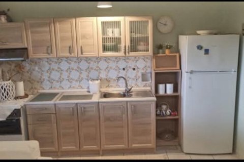 Дом с 1 спальней в Литохорон, Греция №107525 4