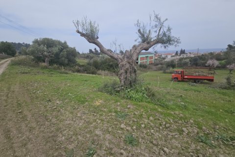 1666m² Land in Chalkidiki, Greece No. 108234 3
