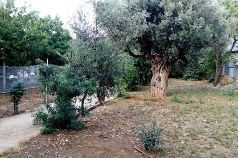 180m² House en Pikermi, Greece No. 60257 6