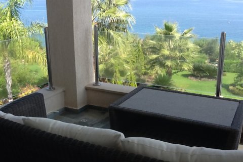 Studio Villa in Paphos, Cyprus No. 105766 12