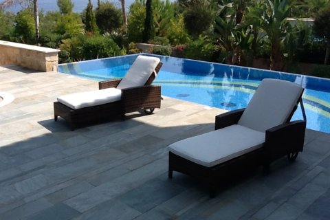 Studio Villa in Paphos, Cyprus No. 105766 7