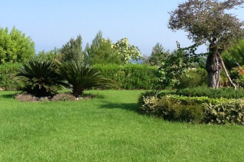 Studio Villa in Paphos, Cyprus No. 105766 8