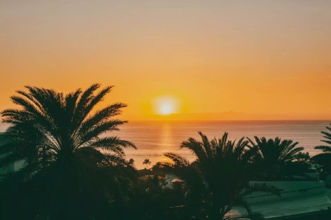 3 bedrooms Apartment in Black River, Mauritius No. 53864 2