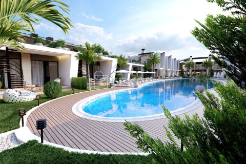 1 bedroom Villa in Phu Ngai, Vietnam No. 15483 6