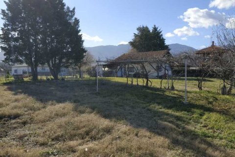 4 bedrooms Building in Pieria, Greece No. 54956 12