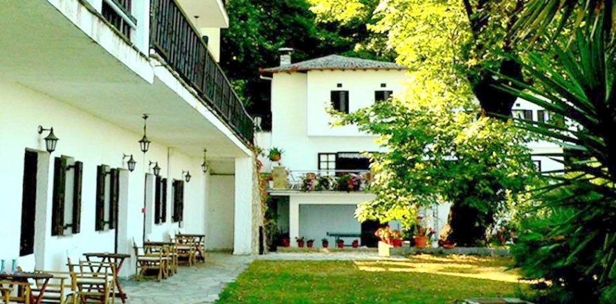 33 habitaciones Hotel en Magnesia, Greece No. 60073