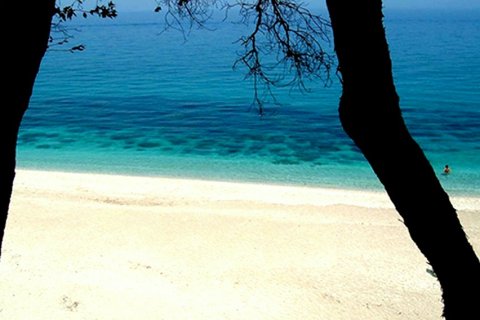 33 habitaciones Hotel en Magnesia, Greece No. 60073 4