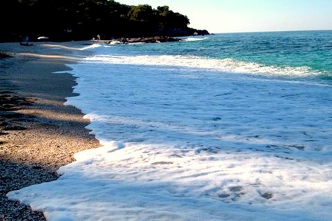 33 habitaciones Hotel en Magnesia, Greece No. 60073 11