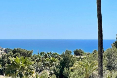 Вилла с 6 спальнями в Бенисса, Испания №116640