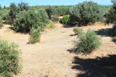 2009m² Land in Hersonissos, Greece No. 109714 2