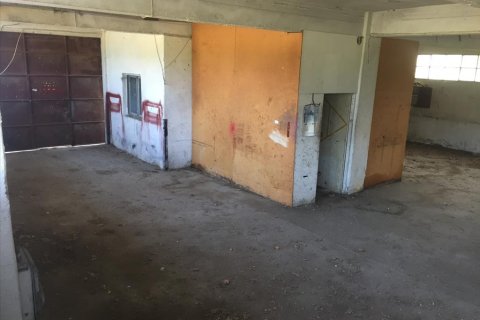 1050m² Commercial property in Pylaia, Greece No. 57947 7