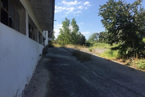 1050m² Commercial property in Pylaia, Greece No. 57947 4
