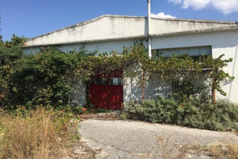 1050m² Commercial property in Pylaia, Greece No. 57947 2
