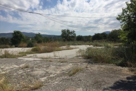 1050m² Commercial property in Pylaia, Greece No. 57947 11