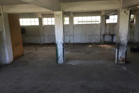 1050m² Commercial property in Pylaia, Greece No. 57947 8