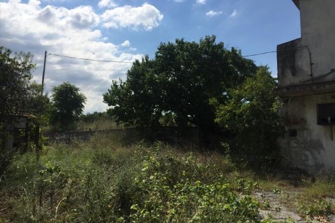 1050m² Commercial property in Pylaia, Greece No. 57947 10