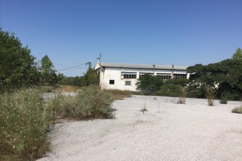 1050m² Commercial property in Pylaia, Greece No. 57947 1