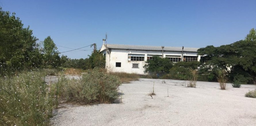 1050m² Commercial property in Pylaia, Greece No. 57947