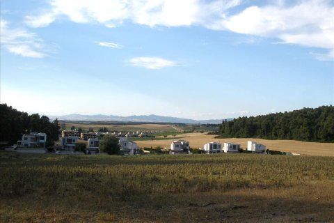 16000m² Land in Chalkidiki, Greece No. 59935 2