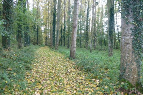 6 bedrooms House in Greez-sur-Roc, France No. 69427 5