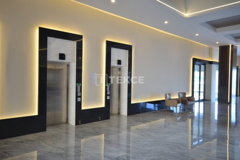 3 chambres Penthouse à Chau Lang, Vietnam No. 10923 18