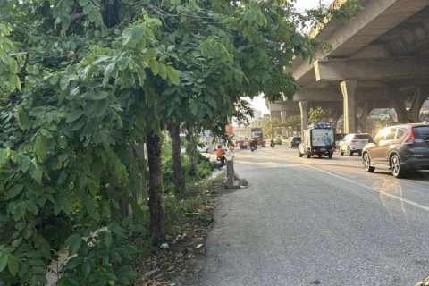 44168m² Land in Bang Na, Thailand No. 97341 4