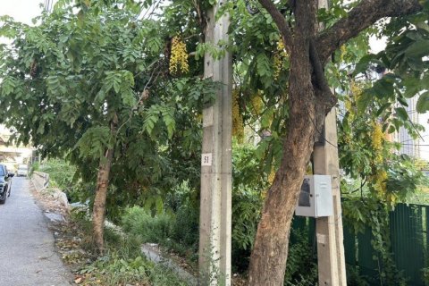 44168m² Land in Bang Na, Thailand No. 97341 5