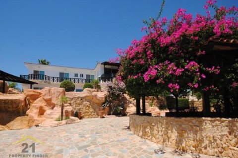 Вилла с 4 спальнями в Пафос, Кипр №39166 7