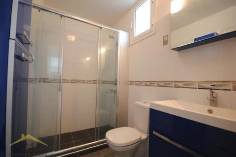 Вилла с 4 спальнями в Пафос, Кипр №39166 12