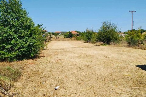 1 chambre House à Chalkidiki, Greece No. 108750 7