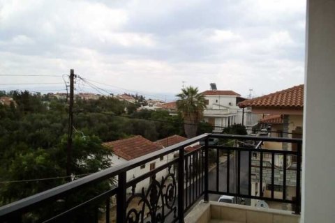 Дом с 5 спальнями в Халкидики, Греция №108752 25