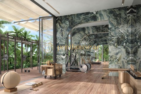 Пентхаус с 3 спальнями в Khuc Xuyen, Вьетнам №5415 3