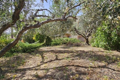 3 chambres House à Heraklion, Greece No. 107977 6