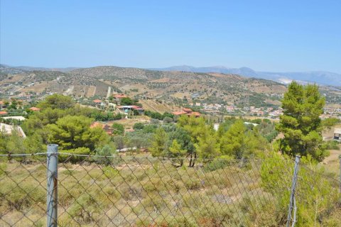 7700m² Land à Kalyvia Thorikou, Greece No. 60209 9