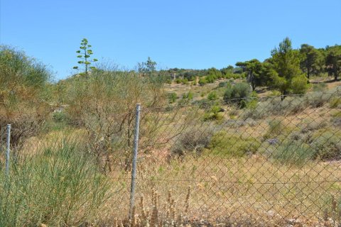 7700m² Land à Kalyvia Thorikou, Greece No. 60209 3