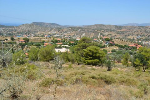 7700m² Land à Kalyvia Thorikou, Greece No. 60209 7
