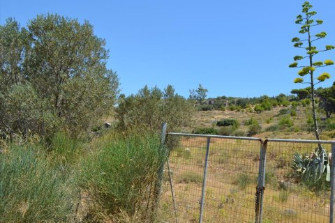 7700m² Land à Kalyvia Thorikou, Greece No. 60209 1