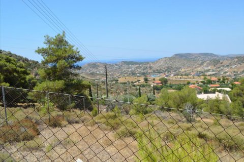 7700m² Land à Kalyvia Thorikou, Greece No. 60209 8