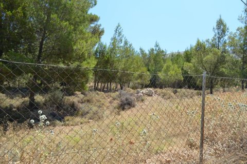 7700m² Land à Kalyvia Thorikou, Greece No. 60209 4