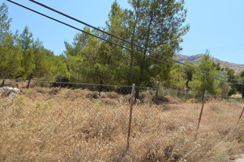 7700m² Land à Kalyvia Thorikou, Greece No. 60209 5