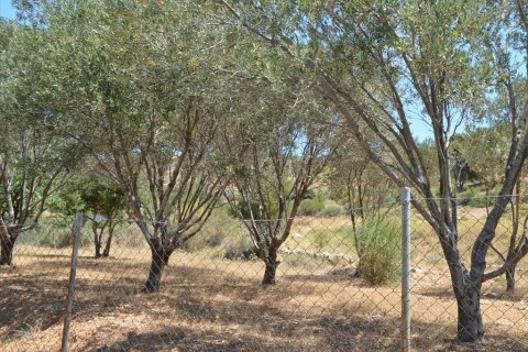 7700m² Land à Kalyvia Thorikou, Greece No. 60209 2